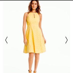 NWOT Gorgeous White House Black Market Sundress